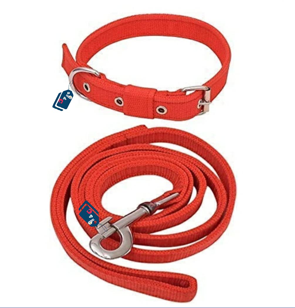 Pawz and Clawz Dog Neck Collar Belts and Leash Set (Waterproof, Medium, Leash Size 1.5M-2M) (Red) (B095MCD7TM) Amazon Price History, Amazon Price Tracker