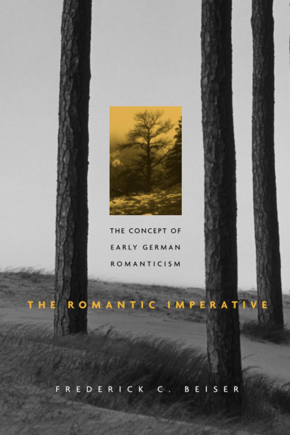 The Romantic Imperative: The Concept of Early German Romanticism