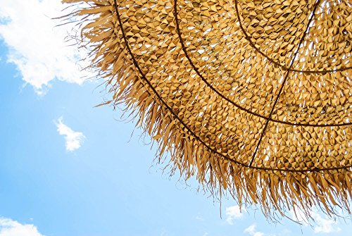 Forever Bamboo Natural Mexican Palm Thatch Umbrella Cover Palapa Thatch Roofing Tiki Hut Umbrella Skirt 12' D - Thumbnail 4