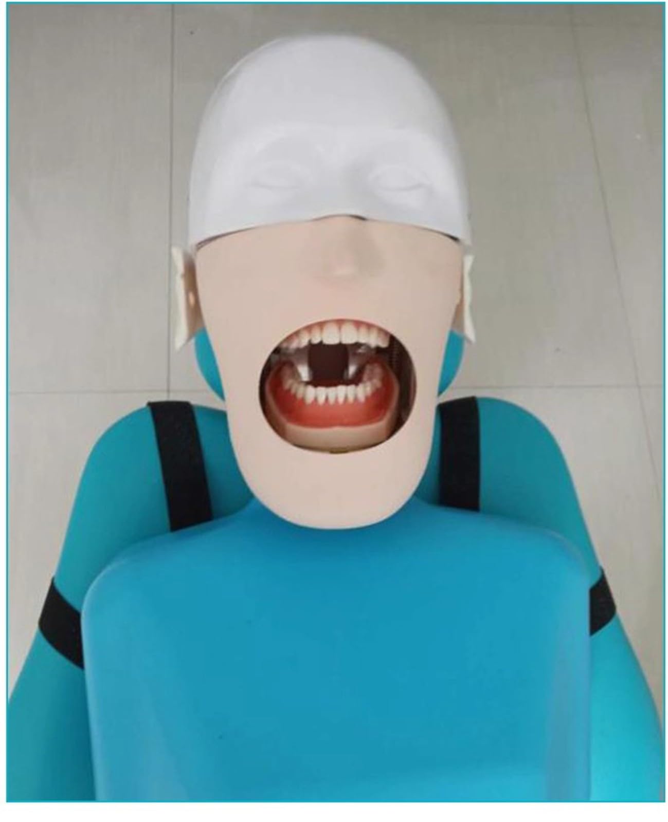 Simulatore dentale con testa di manichino a grandezza naturale con modello di denti per formazione di dentisti e assistenti dentali A