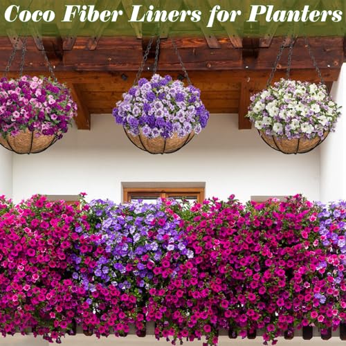 image for ZeeDix 4Pcs 10 Inch Coconut Liners for Planters, Round Hanging Basket 