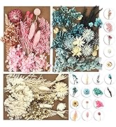 DALARAN 3 Pack Pressed Flowers for Candle Making DIY Dried Flowers Multiple Natural Pressed Flowe...