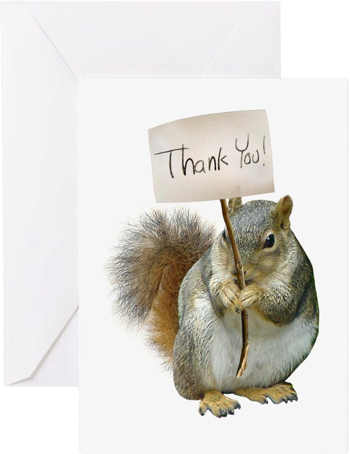CafePress Squirrel Thank You Greeting Cards Folded Greeting Cards (10-pack) Glossy