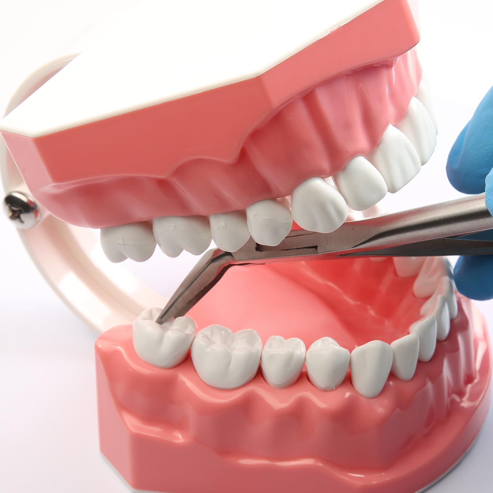Ortodoncja 45° szczypce do gięcia pałąków, dentystyczne, ortodontyczne, twarde druty, obcinacz do drutu ze stali nierdzewnej, usuwanie aparatów ortodontycznych