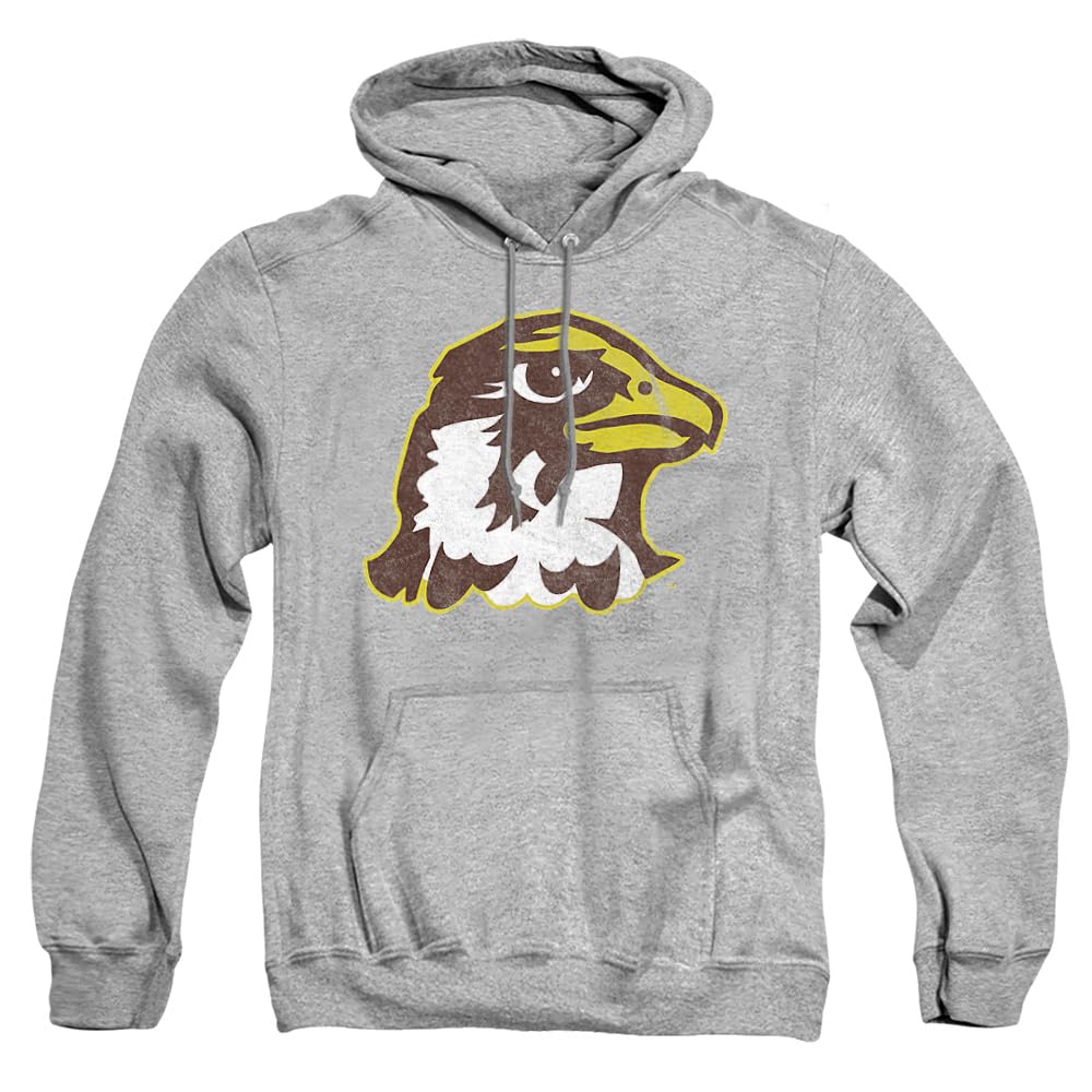 LOGOVISION Official Collegiate Distressed Primary Logo Adult Pullover Hoodie Collection — view 118