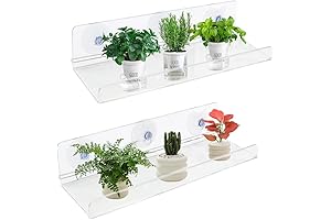 2 Pack Suction Cup Window Shelf: Keep Greenery Close at Hand