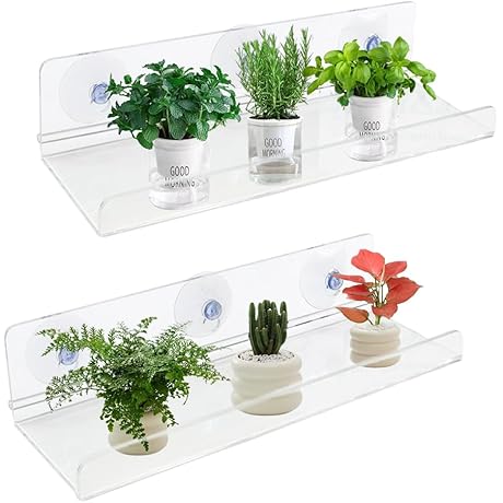 2 Pack Suction Cup Window Shelf: Keep Greenery Close at Hand
