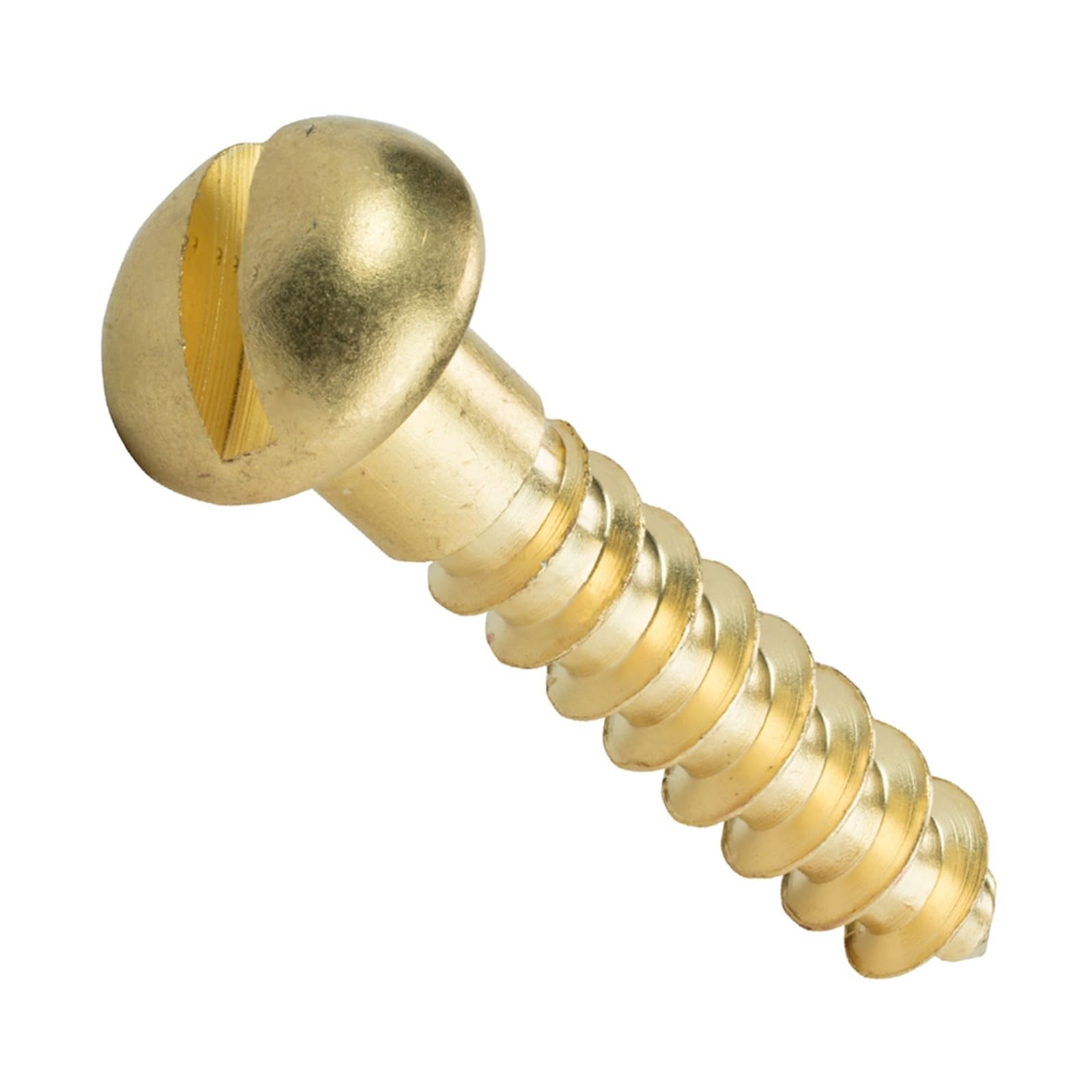 Amazon.co.jp: 20 個 M3 M4 M4 M5 M6 真鍮丸頭木ネジマイナスドライブ