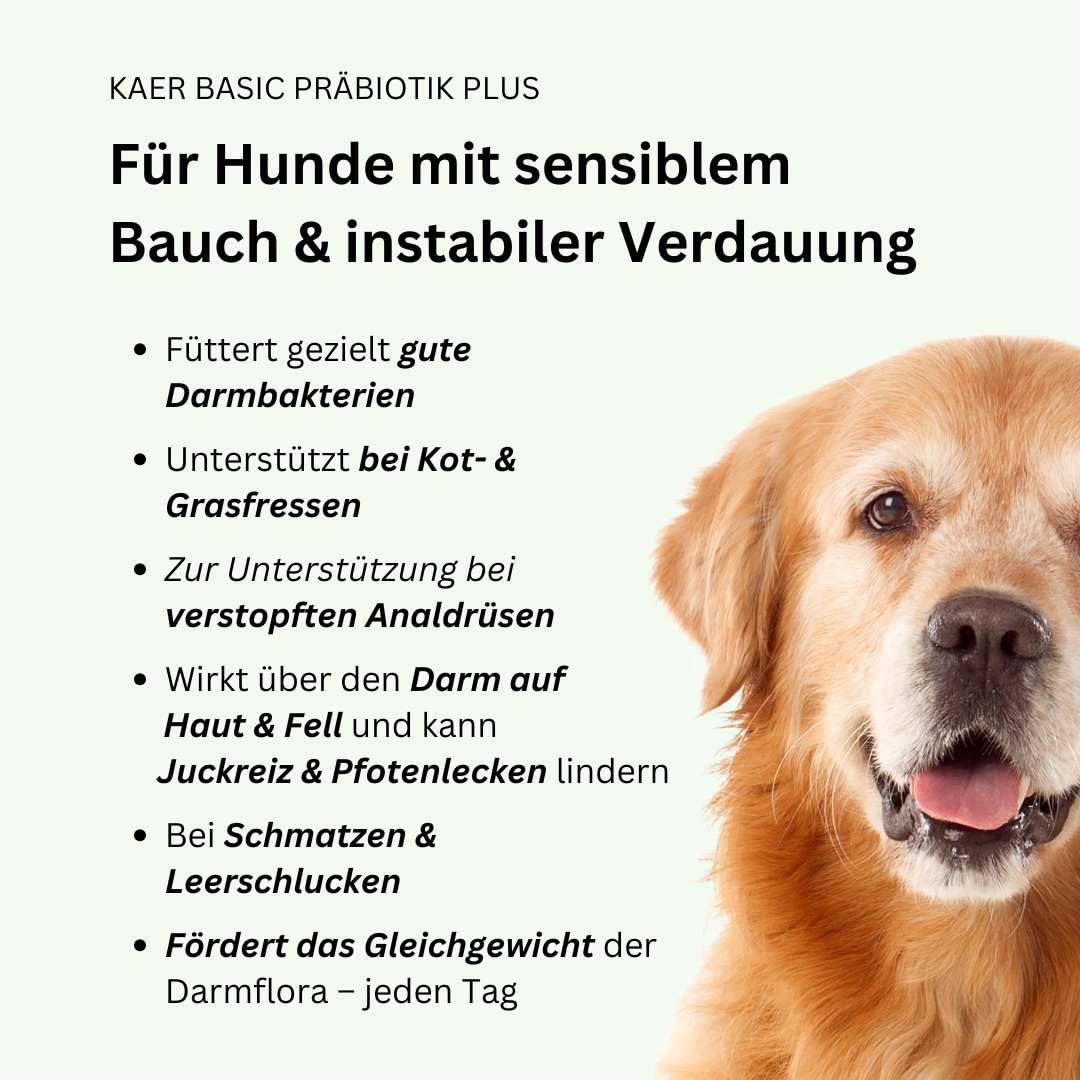 Lot de 2 poudres prébiotiques Plus pour chiens - 200 g - Probiotiques pour compléter l'alimentation - Pour développer la flore intestinale, les bactéries intestinales, la santé intestinale