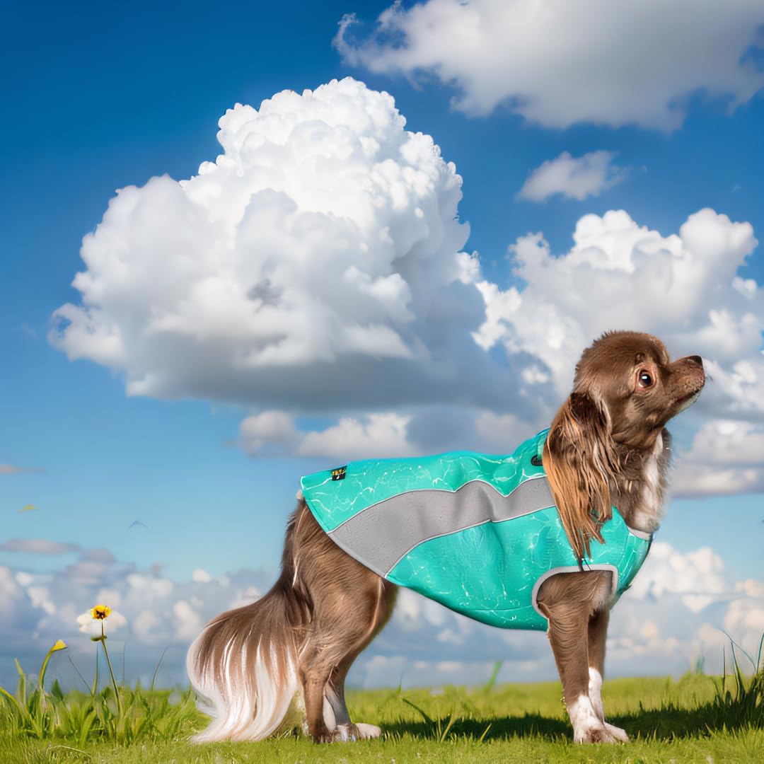 Giacca per Cani d'inverno e Gilet di Raffreddamento per Cani d'estate Cappotto Cane a Doppio Uso, Antivento e Caldo Cappotto per Cani Inverno, Inzuppato per il Gilet di Raffreddamento per Cani Estate