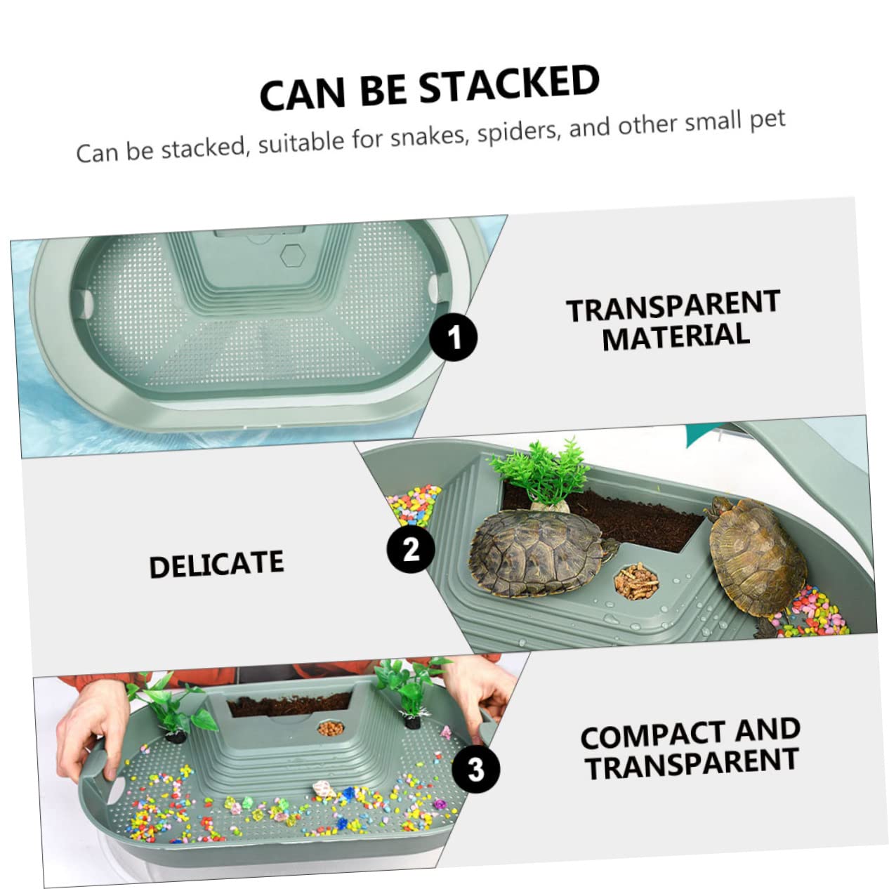 Terrario per Tartarughe in Plastico Verde, Habitat con Piattaforma per Basking, Area di Alimentazione e Nuoto, Fondo Antiscivolo | 5 Zone Interne, Area Anti-scivolo e Zona Alimentazione, Plastico Verde per Rettili