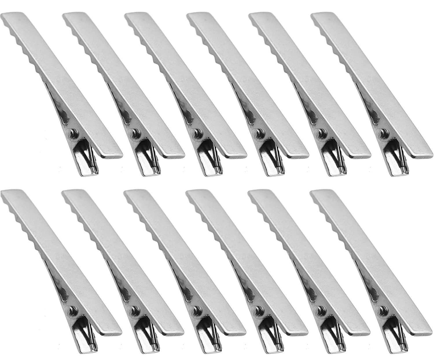 Nyamah Sales 12 PCS Hair Grip Clips Tool Hairdressing Sectioning Cutting Clamps for Salon Make Up Cosmetic Styling (Sliver)
