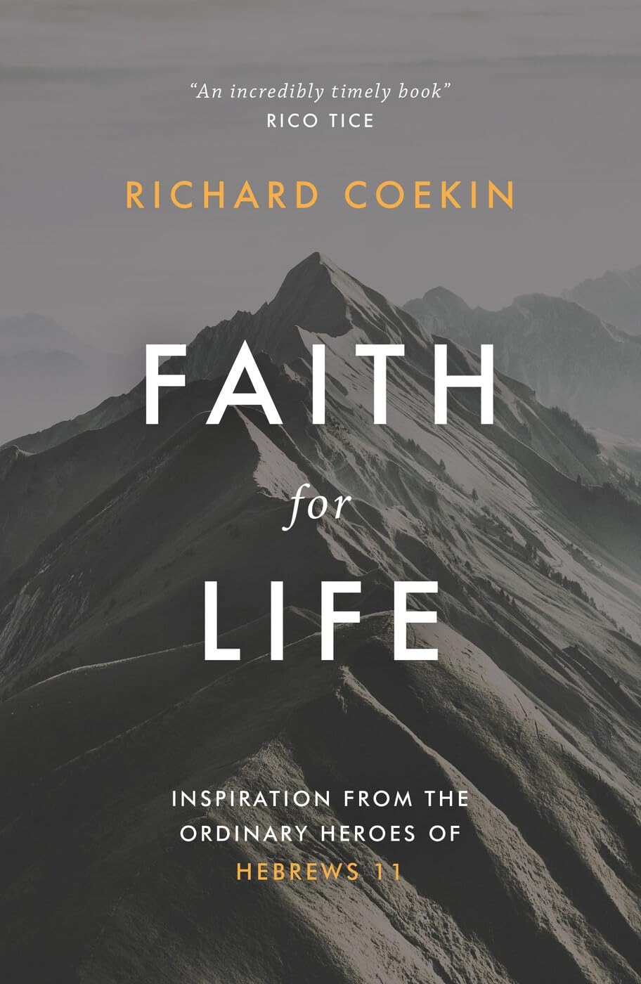 Faith for Life: Inspiration From The Ordinary Heroes Of Hebrews 11 By Richard C