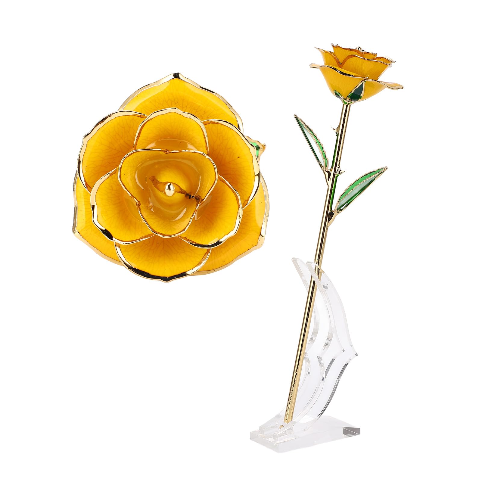 Amazon.com: ZJchao 24K Yellow Rose for Her, Dipped Gold Rose Love