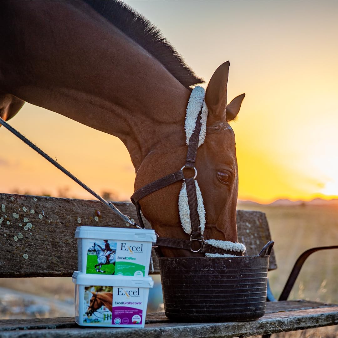 Excel Supplements VITAFLAV - Suplemento Alimenticio para Caballos | Mejora la Capacidad de respiración del Caballo | Aumenta el Rendimiento | Cuidado del Caballo | 1KG