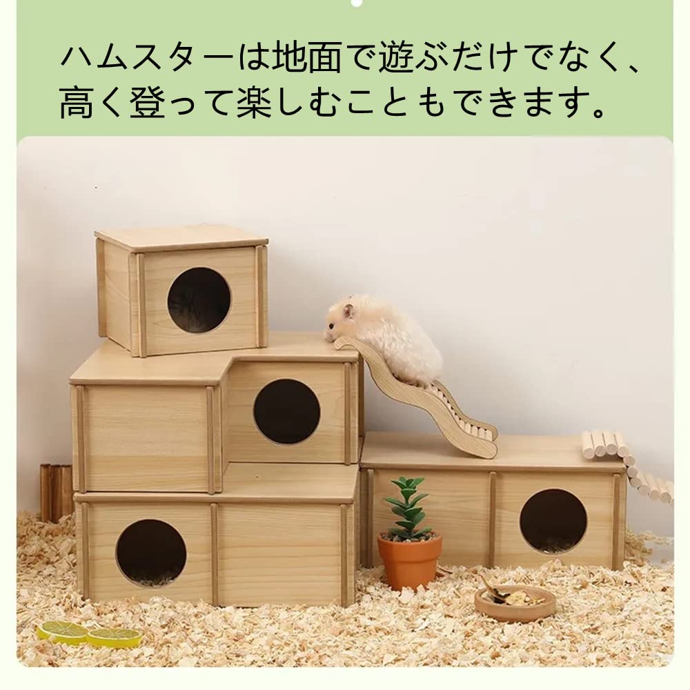 Amazon | MUYYIKA ハムスター ステップ 小動物おもちゃ 齧り木 
