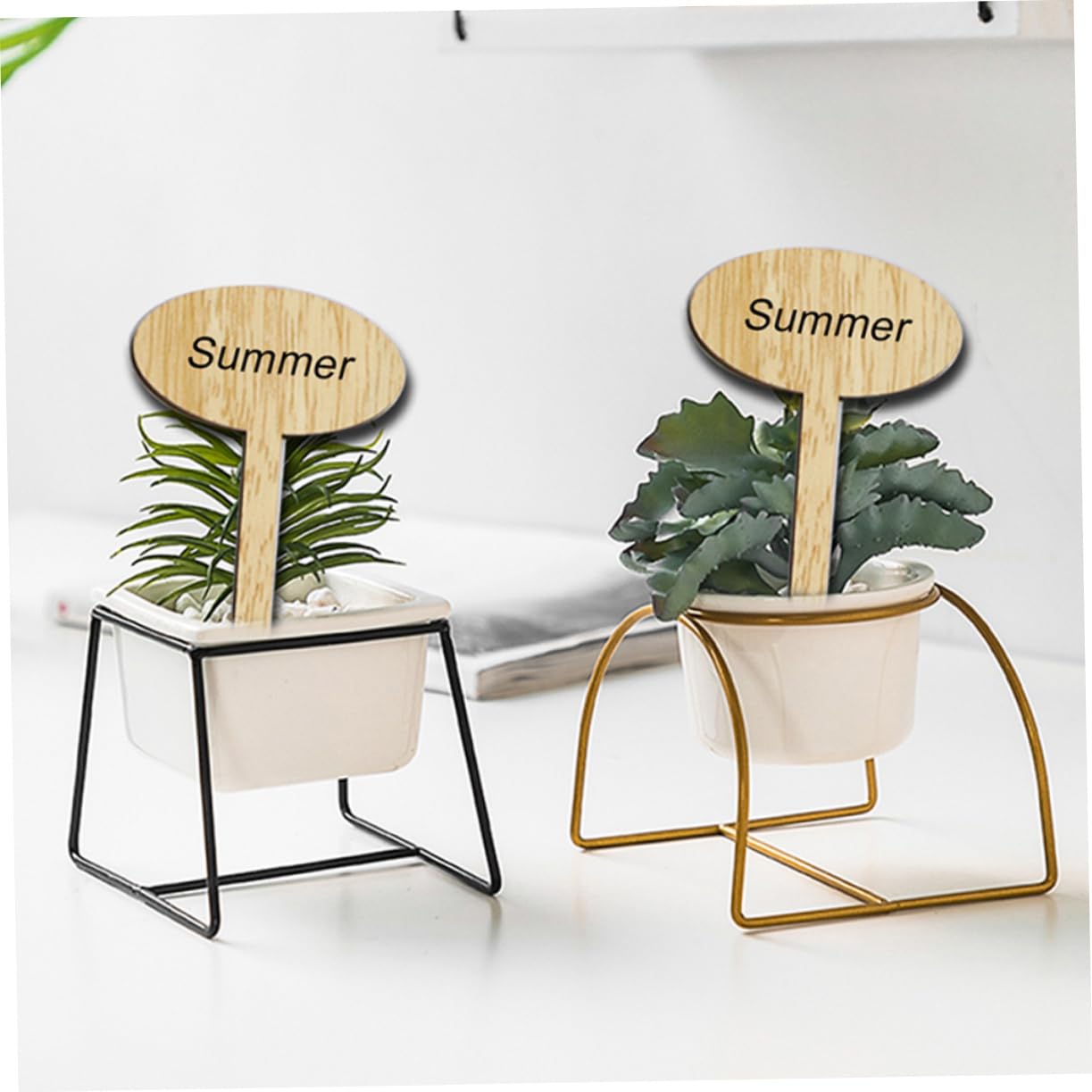 INOOMP Lot De 3 Étiquettes Pour Plantes Dextérieur Marqueurs De Jardin En Bois Réutilisables Pour Projets Scolaires 50 Pièces X 3