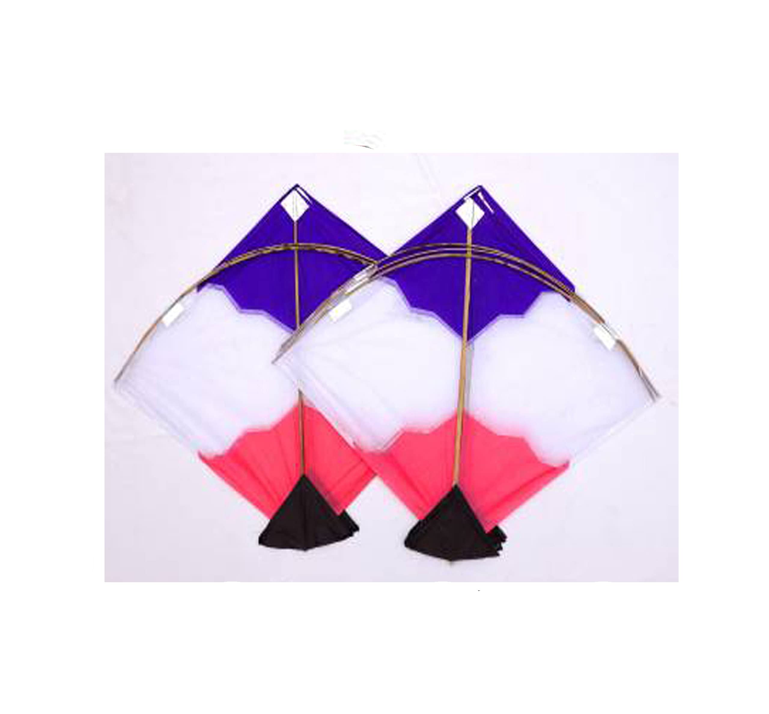 Buy Paper Kite Indian Traditional Cheel Kites Paper Kite Kites