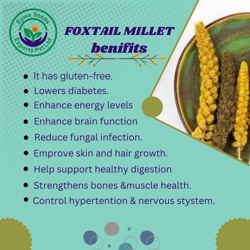 Image of Eywa Seeds & Exports Pvt Ltd Foxtail Millet Grains (5 Kg) For Eating And Cooking|Kang Atta|Produce Of India From Organic Farms