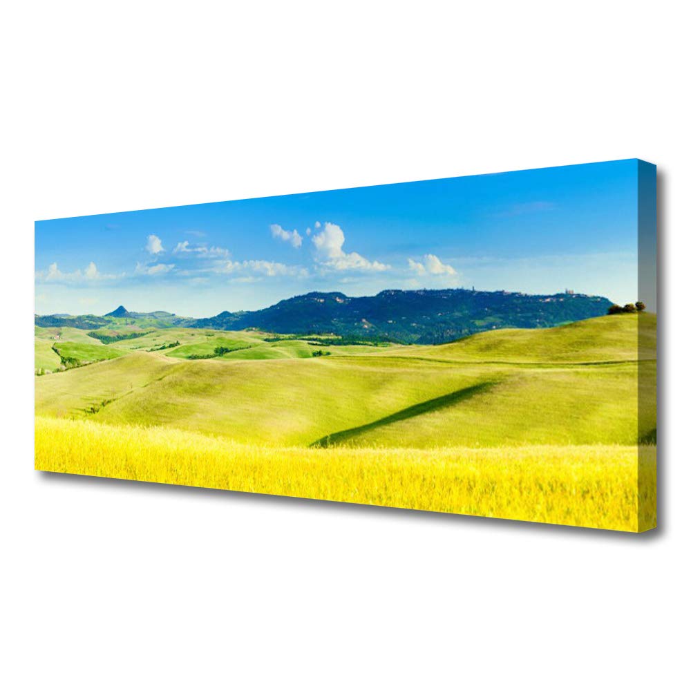 Tableau sur toile 125x50cm pour habiller un grand mur vide au salon