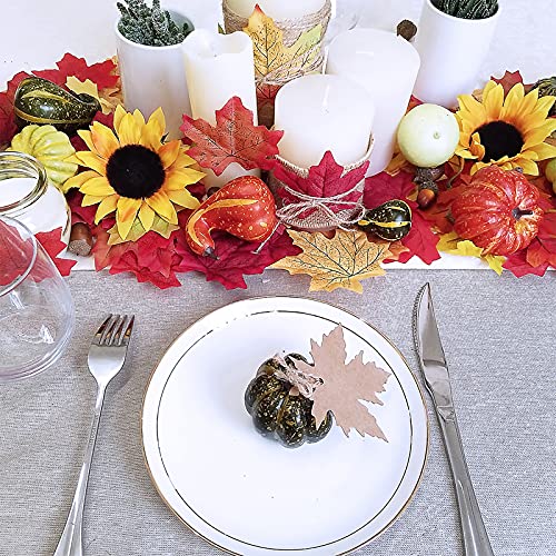 Supla 451 Pcs Fall Pumpkin Leaf Decoration Vase Filler Bowl Filler Mini Pumpkin Gourd Acorns Sunflower Heads Autumn Oak Leaf Maple Leaf For Wedding Thanksgiving Halloween Harvest Party Table Decor #TOP7