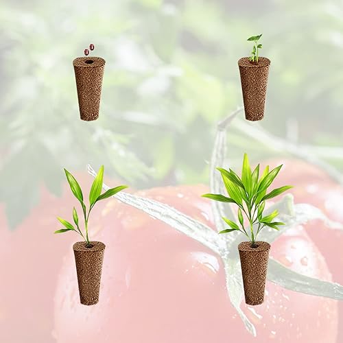 Miniatura 5 de Haovegfloer 30 esponjas de cultivo, cápsulas iniciadoras de semillas de repuesto para crecimiento de raíces, kit de vainas de semillas para QYO,