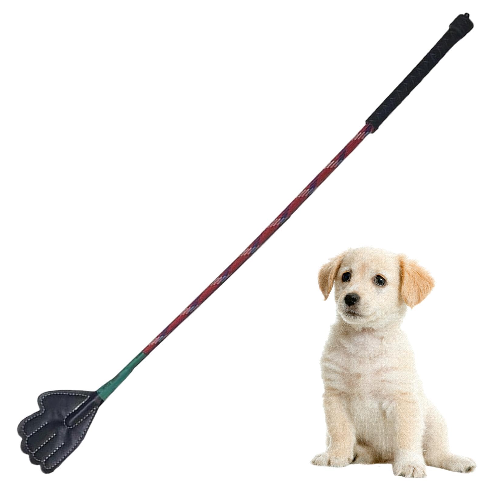 Bâton de dressage pour chien, bâton de flirt portable, outils de dressage pour animaux de compagnie, meilleures pratiques, bâton d'entraînement complet pour améliorer l'obéissance du chien 45 cm et 63
