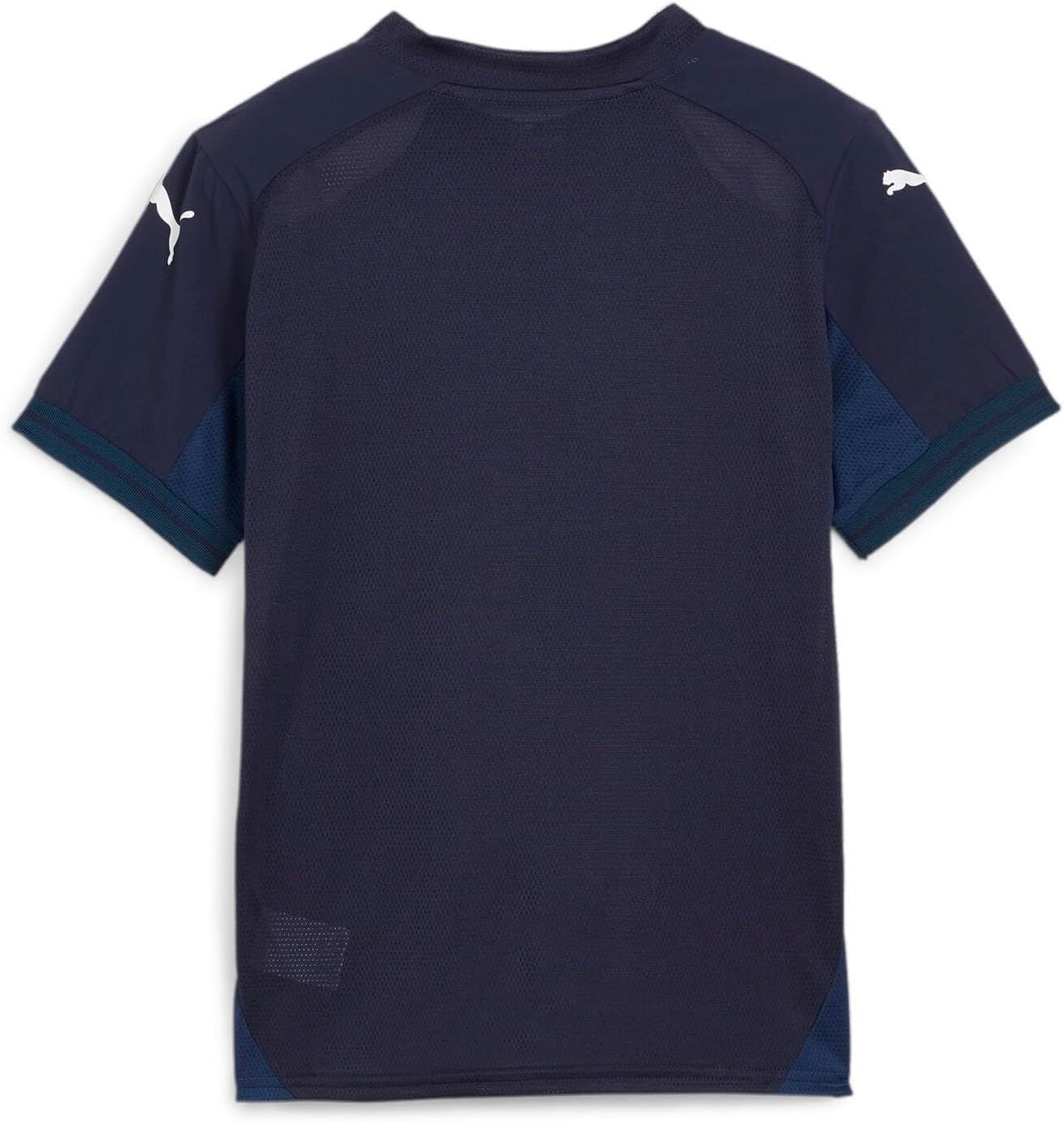 PUMA - Juniors Teamfinal Jersey