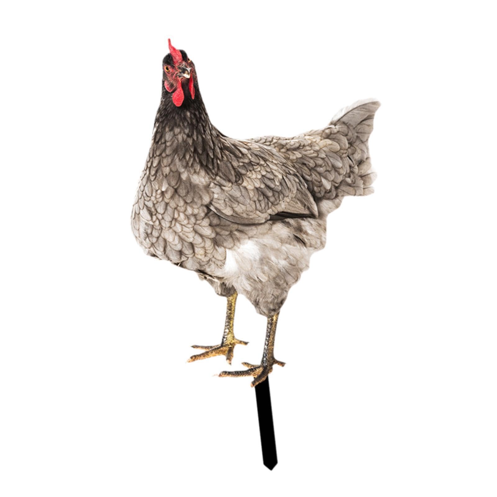 TWISAXC Acrylic Animal Stake Figurine Sign Pathway Patio Enhances Backyard Flower Bed Entryway Porch With for Creative Chicken Art Chicken Garden Statue Stake Outside Outdoor, Style A