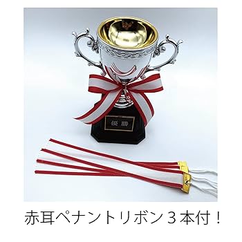 様 SILVERトロフィー 71GwGYzPeDL._AC_SY200_QL15_.jpg