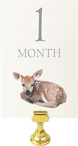 Weekend Paper Co.™ Tarjetas de hitos de animales de bebé, marcador mensual para bebés para una futura madre o nueva madre, regalos para bebés o