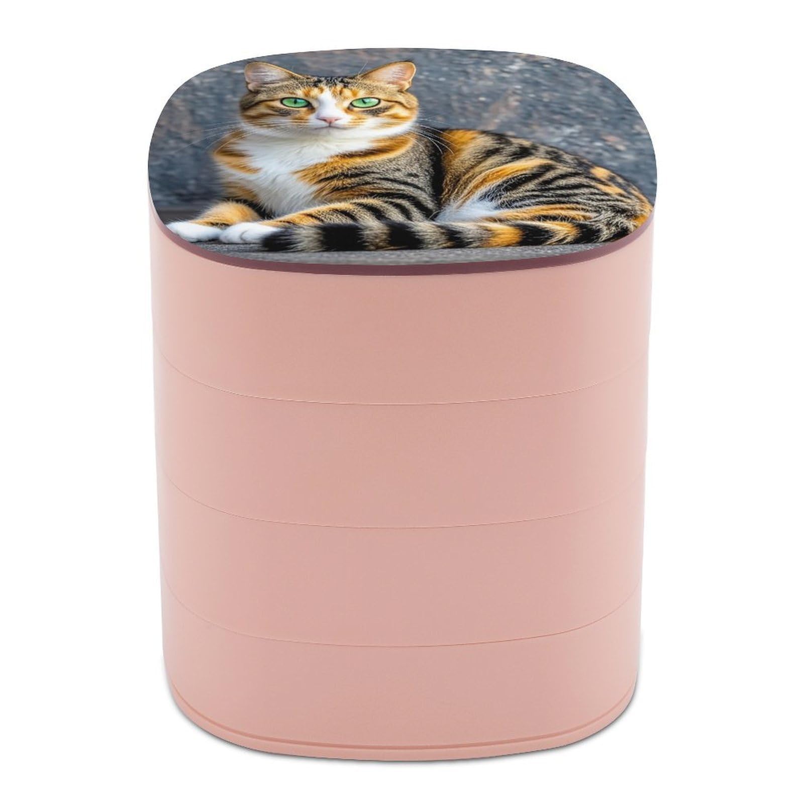 FekiLoot Rotating Cat Jewelry Box Large Capacity Jewelry Organizer with Mirror 4 Tier Hoop Ring And Earring Holder With Lid Small Travel Jewelry Case for Women