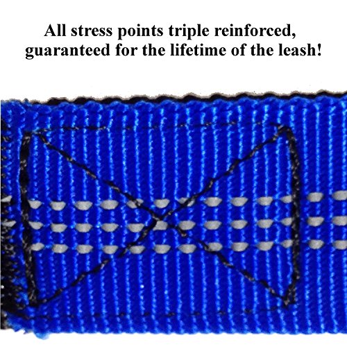 Pet Fit For Life 64" Premium Two Dog Leash: Premium Double Leash For Dogs, Provides Control And Comfort - Durable Foam Rubber Handle, Shock Absorbing Cord - Includes Bonus Collapsible Water Bowl #TOP4