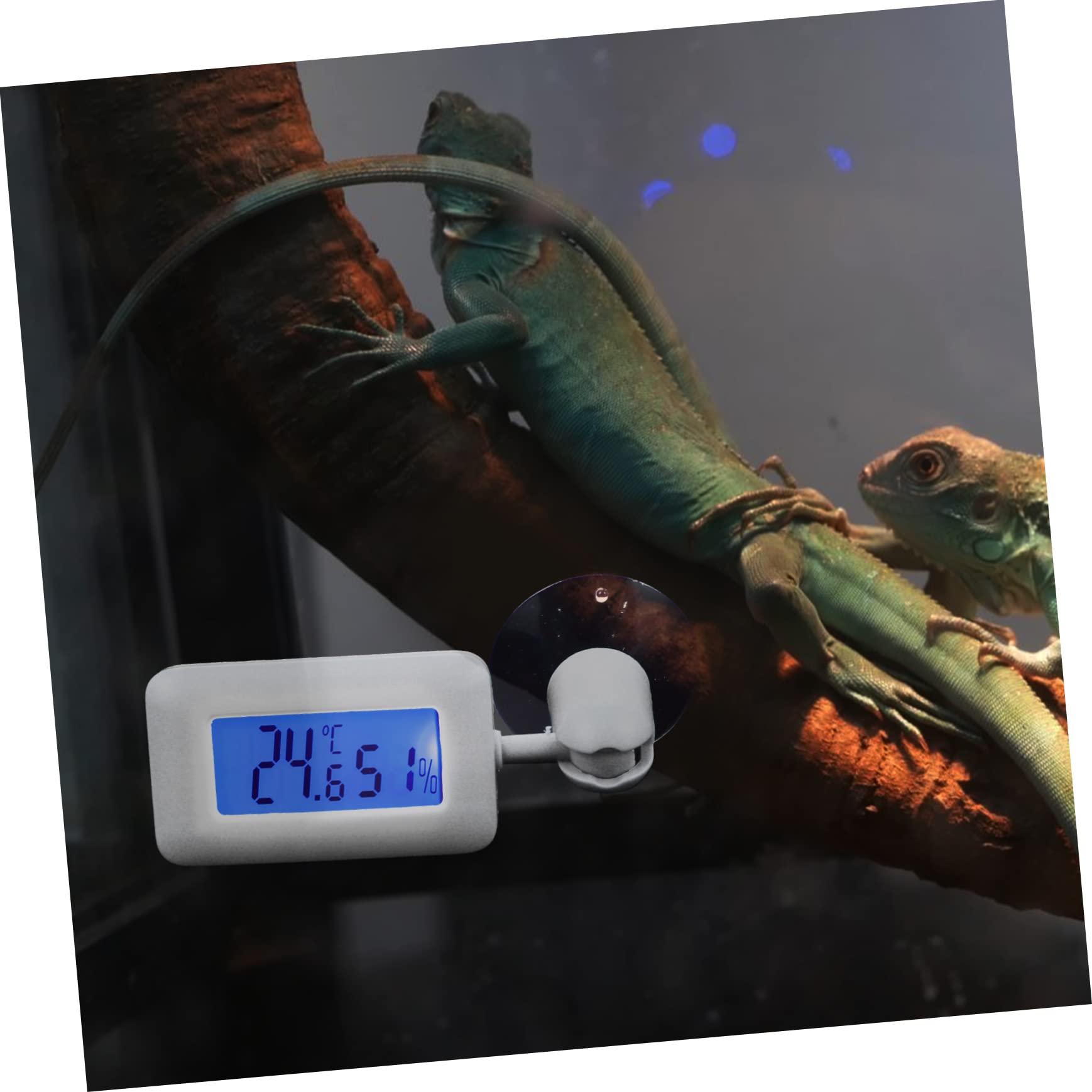 4 Uds Higrómetro De Reptil Medidor De Humedad Digital Dispositivo De Medición De Temperatura Termómetro De Tanque De Dragón Barbudo Mini Higrómetro Medidor De Temperatura Y