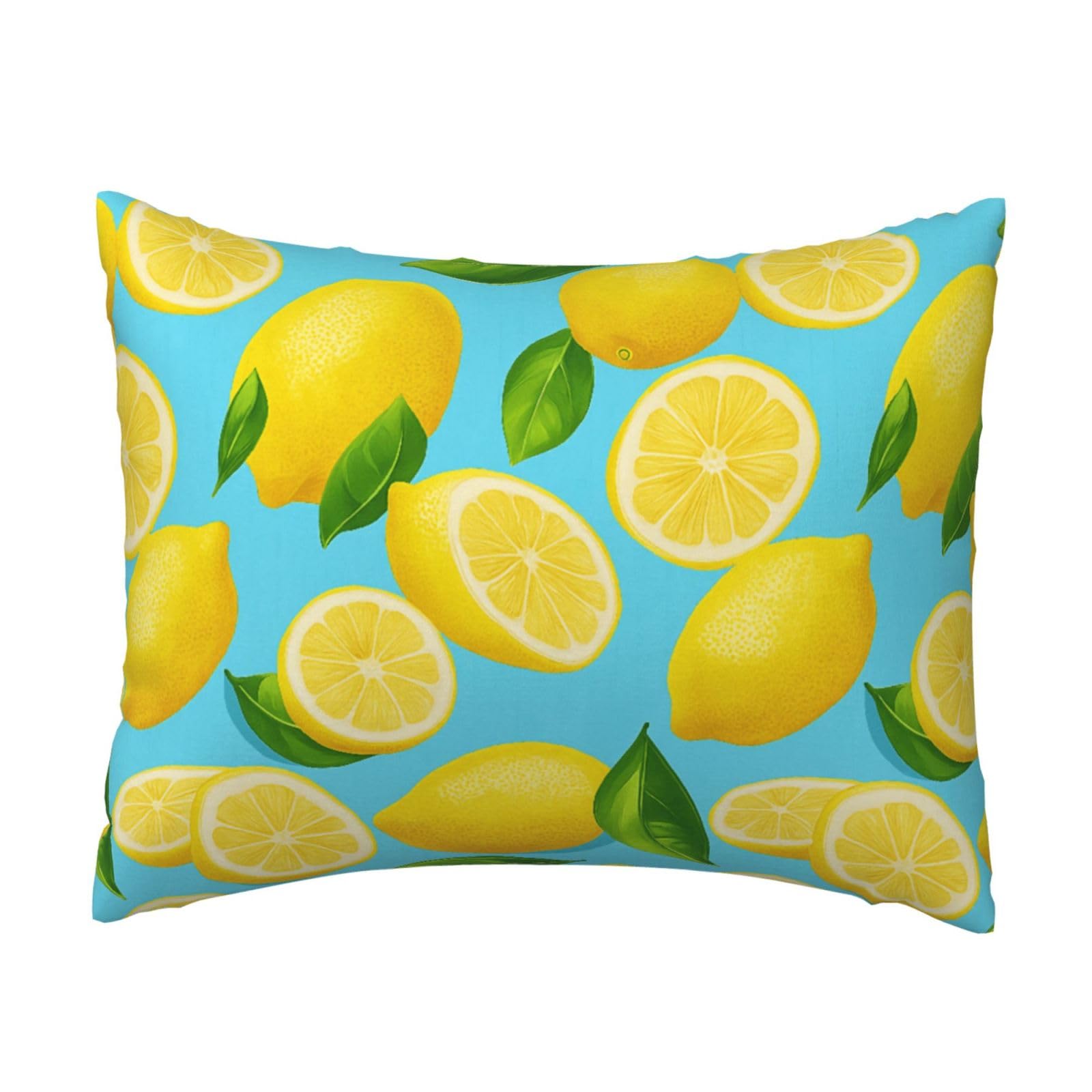 Fresh Lemon Pillowcase Soft Plush with Zipper Decorative Pillowcovers 16x20 in