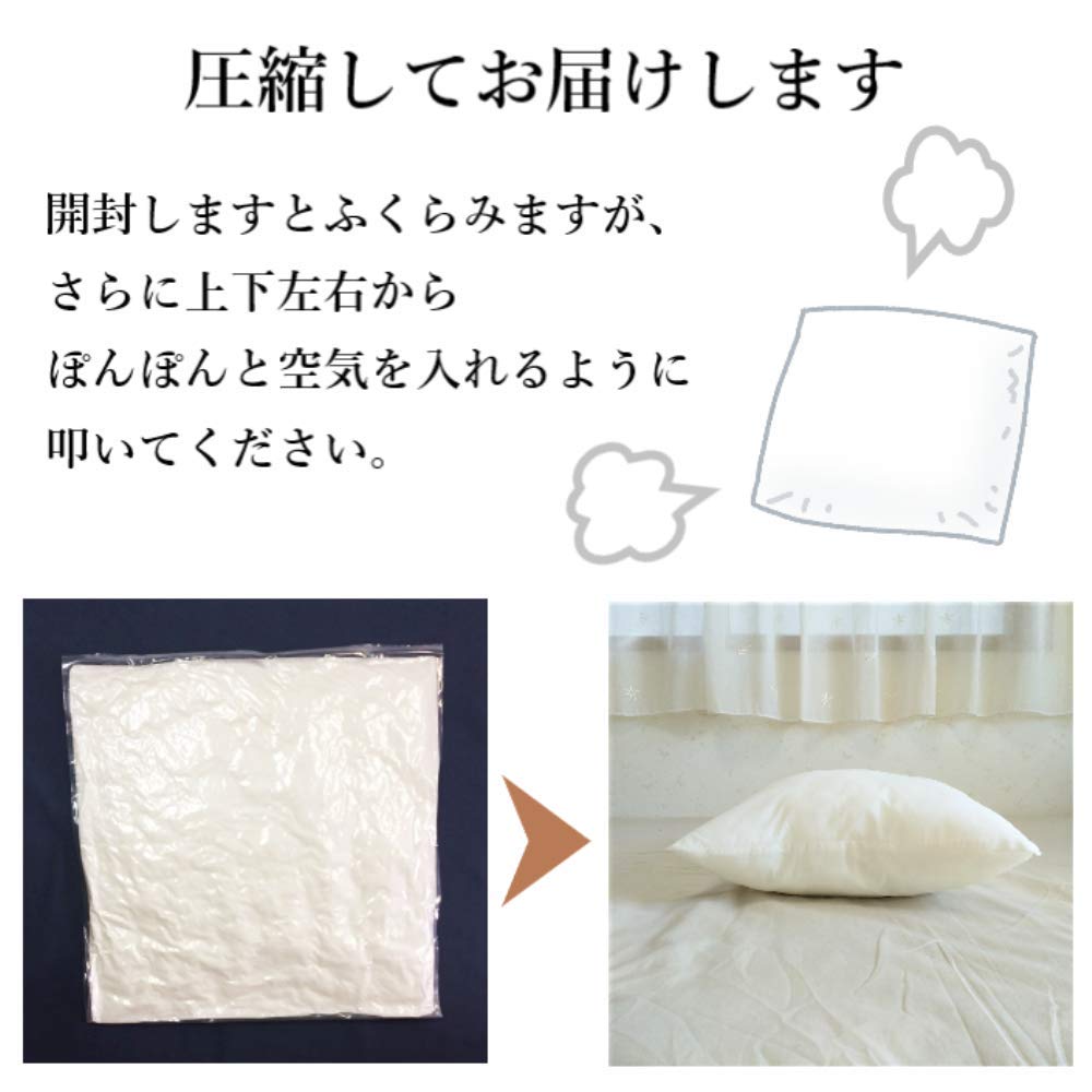 Amazon.co.jp: 蜂屋 HACHIYA ヌードクッション 40×40cm 中身 背当