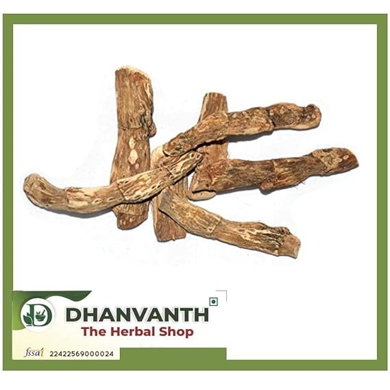 Dried Calamus Root (Acorus Calamus) Vacha root Gurbach Vasambu