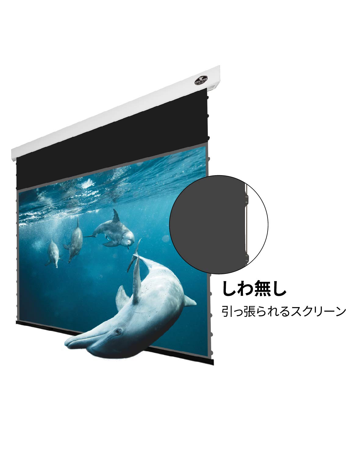 Amazon.co.jp: プロジェクタースクリーン 壁掛け プロジェクター用