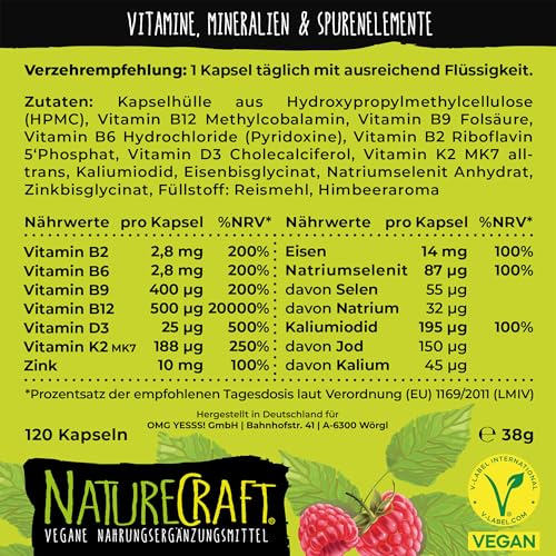 Vegan All-in-One - Vitamin B12+D3+K2+B2+B6+B9 Folsäure + Zink + Eisen + Selen + Natrium + Kalium + Jod -...
