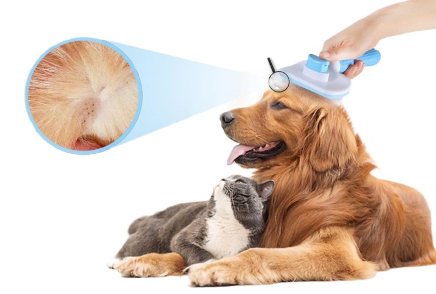 - Cepillo Quitapelos Mascotas - Cepillo Para Perros y Gatos - Cepillo Para Mascotas Pelo Largo y Corto - Peine Mascotas -Peine Para Perros y Gatos – Peine Pelo Muerto Perros y Gatos.