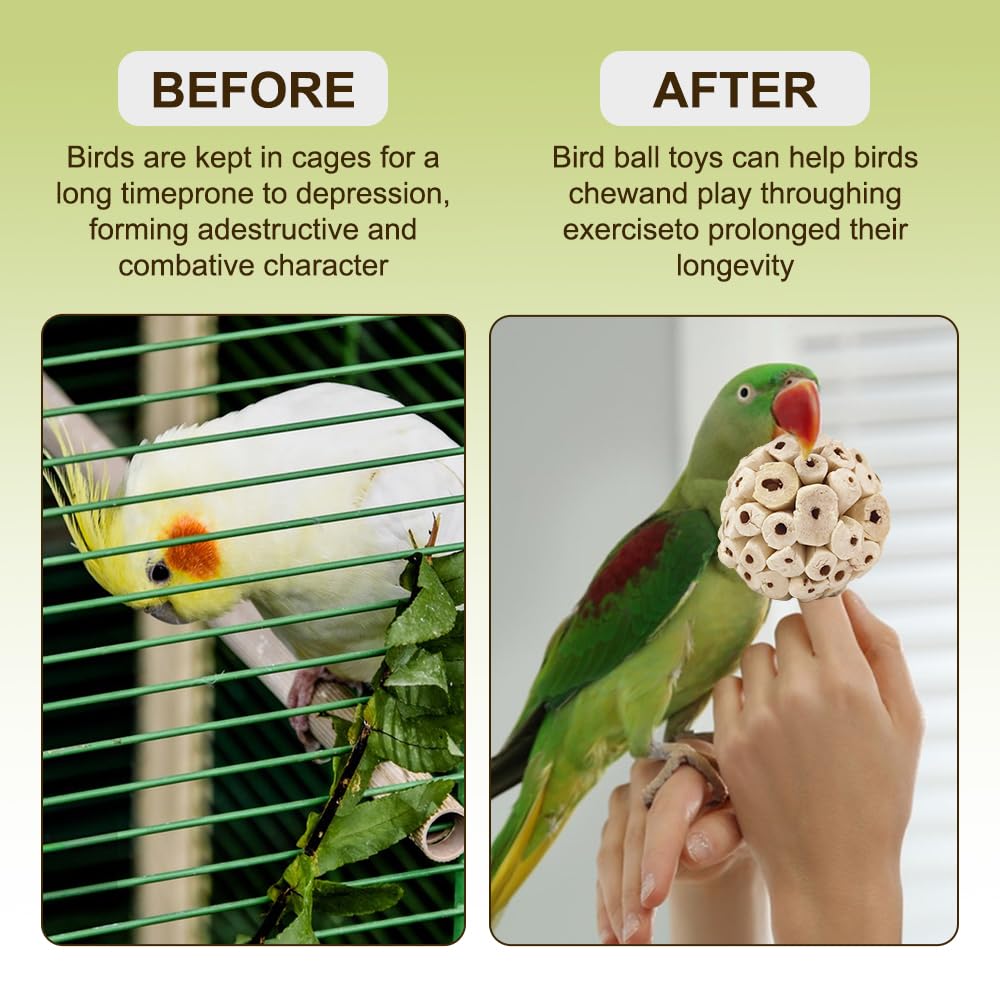7Pcs Bird Toys for Parrots - Natural Soft Chew Shredding & Foraging Toy for Cockatiel Conure Quaker Parrot Budgie Parakeet Rabbit Bunny Guinea Pig Chinchilla - image 4