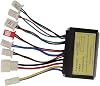 12V 24V 36V Speed Controller for Electric Scooter and E Bike 100W 350W with Comprehensive Protection 24v 250W-350W