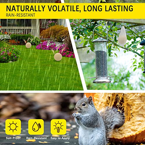 Anewnice Squirrel Repellent Outdoor,Mint Squirrel Deterrent,Natural Squirrel Repellent For Attic,Garden,Plants,Chipmunk Repellent For Car,Peppermint Rodent Repellant Indoor -8Packs #TOP3