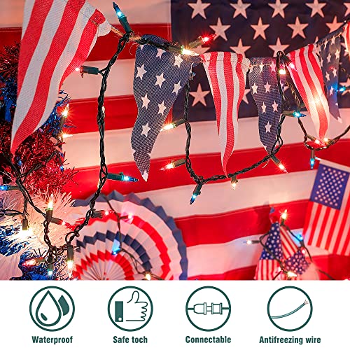 Hopolon Red White And Blue Mini Lights,2Pack 50Count 4Th Of July Patriotic String Lights Green Wire,13Ft Incandescent Independence Day Lights For Indoor Outdoor Christmas Party Decor,Red White Blue #TOP2
