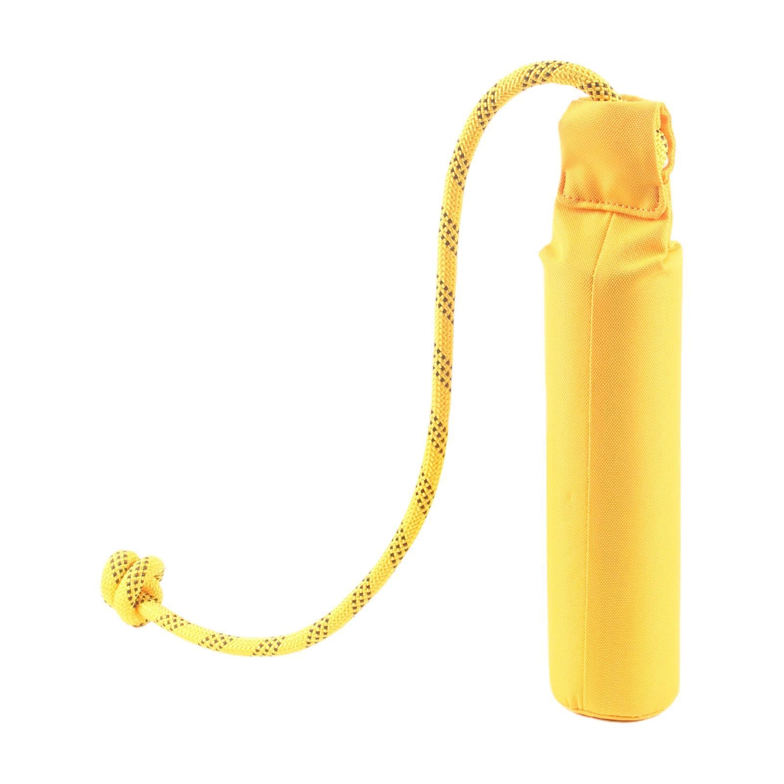 Jouet d'eau pour chien insubmersible, bâton de lancer ultra résistant