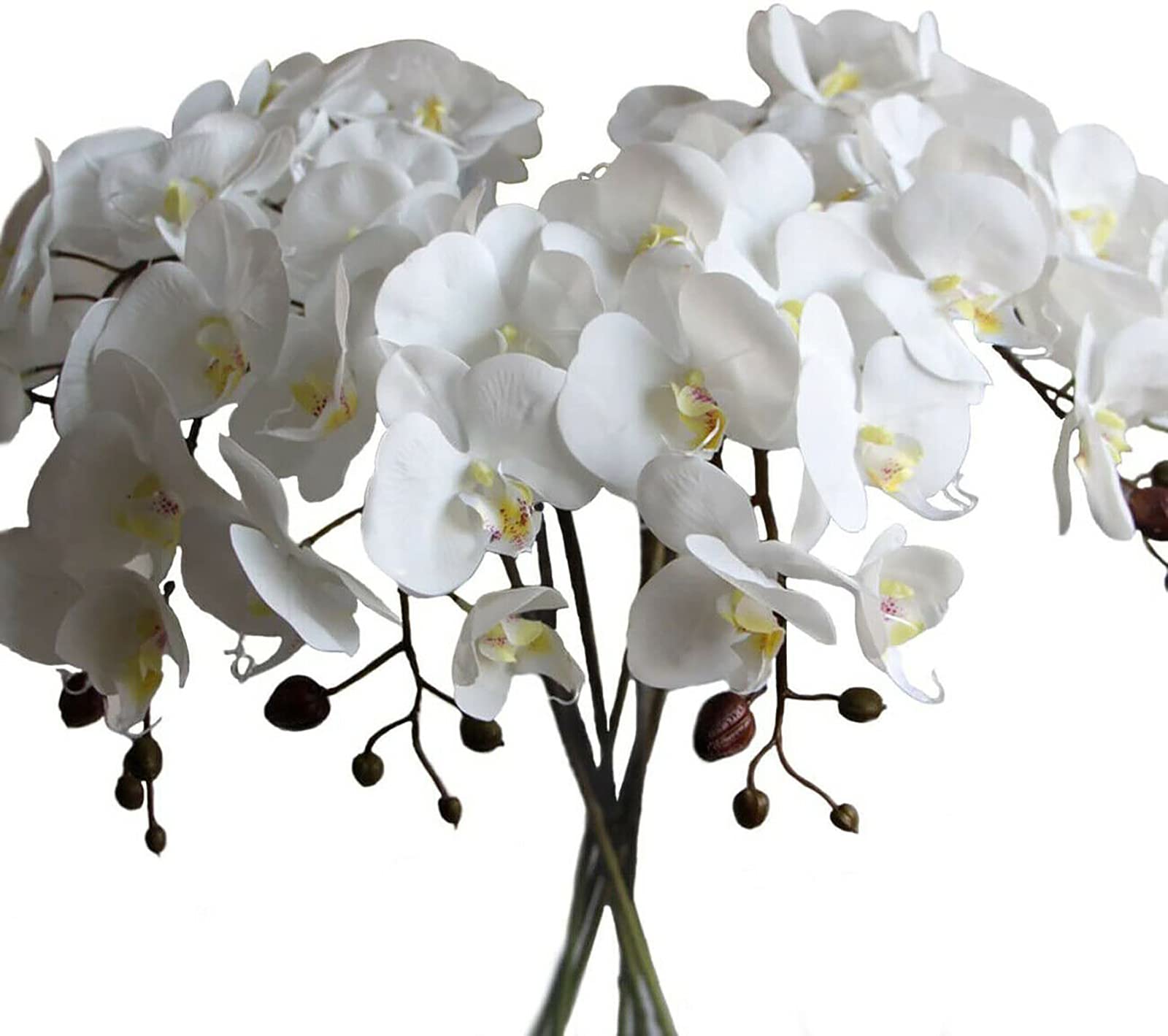 Phalaenopsis real touch bianco per decorazioni floreali