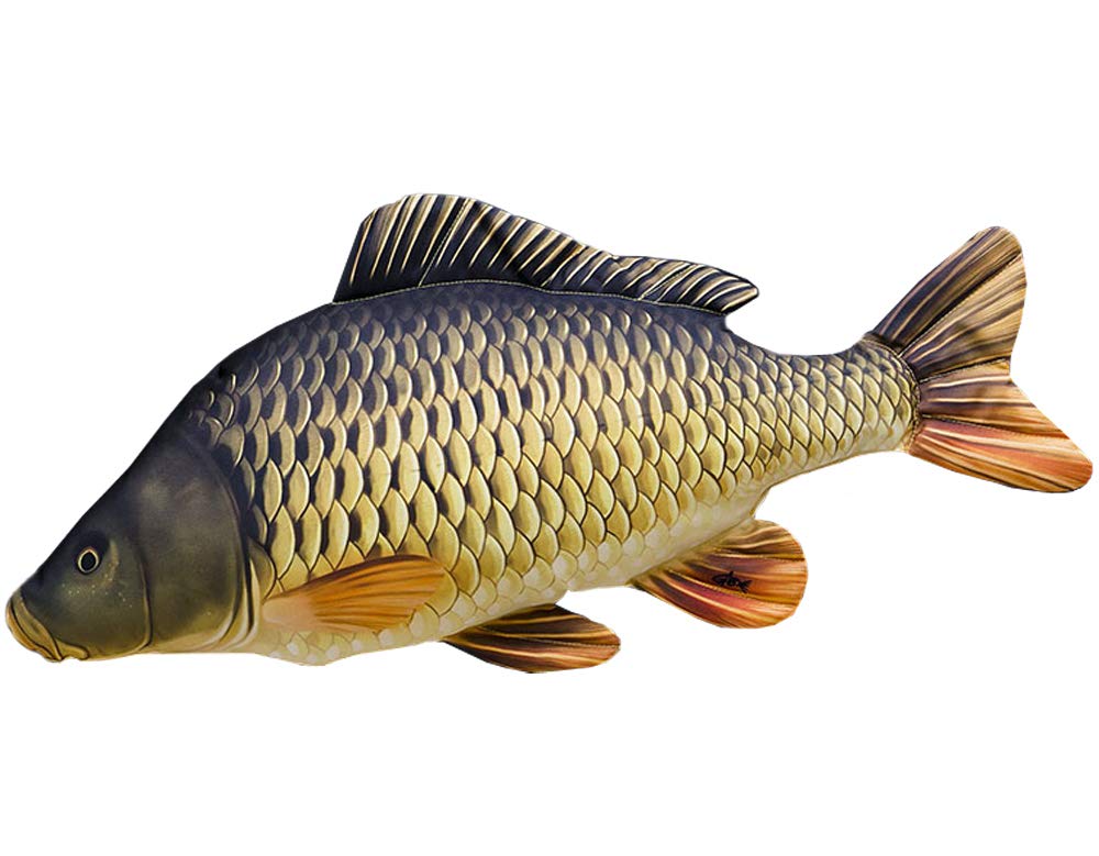 Common Carp Mini Cushion, Multi-Colour