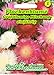 Produktbild Flockenblume 'Großblumige Prachtmischung' Großbütig, stark duftend 'Centaurea moschata'