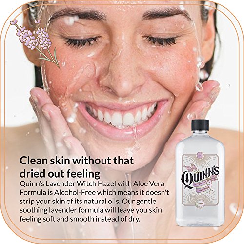 Quinn’s Alcohol Free Witch Hazel With Aloe Vera 16 Ounce (Lavender) #TOP6