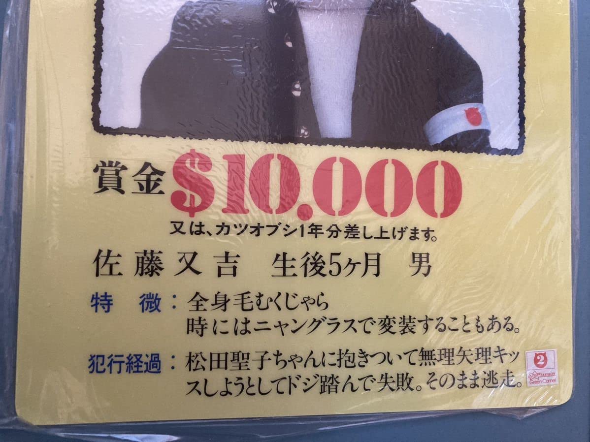Amazon.co.jp: 昭和56年当時物元祖なめ猫なめんなよ佐藤又吉履歴書
